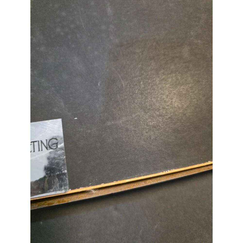 Vintage Sir Mix A Lot Swass Certified RIAA Gold Sales Award Plate Blank Presenta